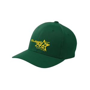 Flexfit Hat